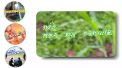 今日驻马店--驻马店旧事--广视网