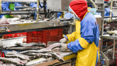 咸宁以全链条管理建牢食安平易近生底线